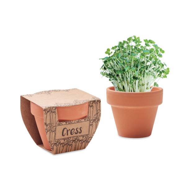 Small flowerpot with cress seeds CRESS POT