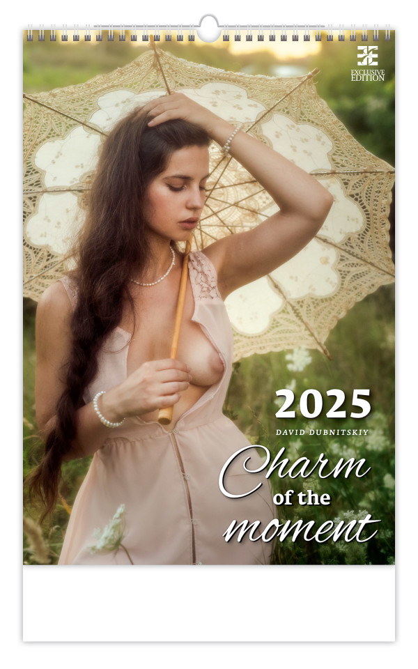 Charm of the Moment wall calendar