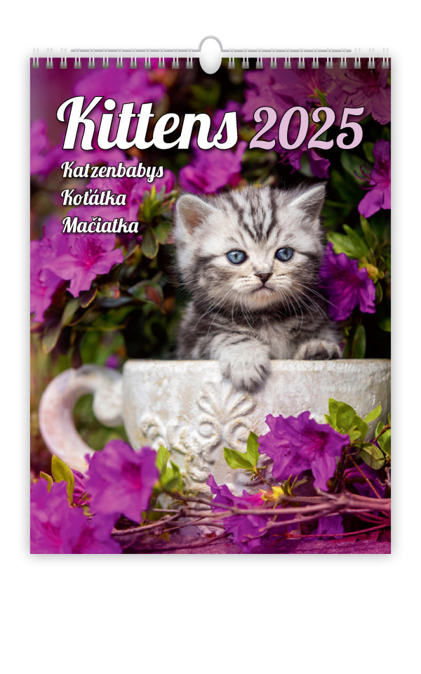 Cats wall calendar