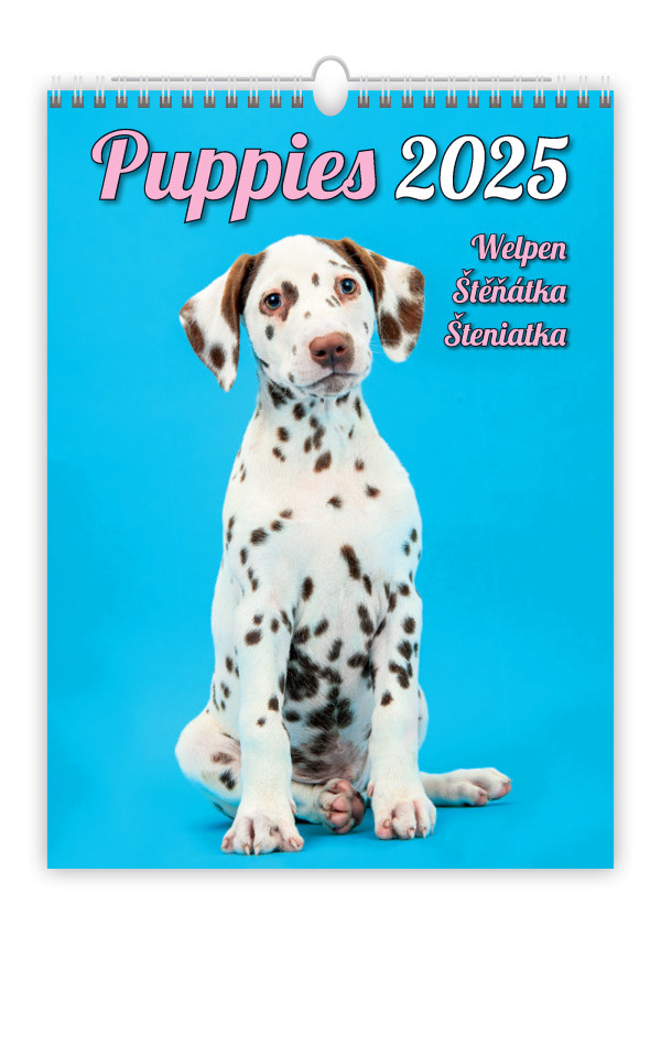 Puppy wall calendar