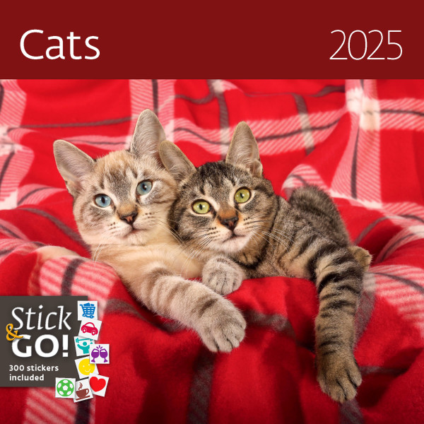 Cats wall calendar