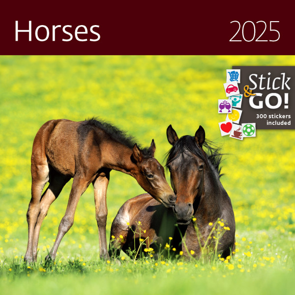 Horses wall calendar