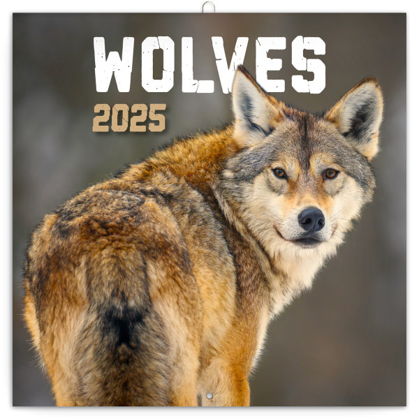 Wolves 2025 calendar