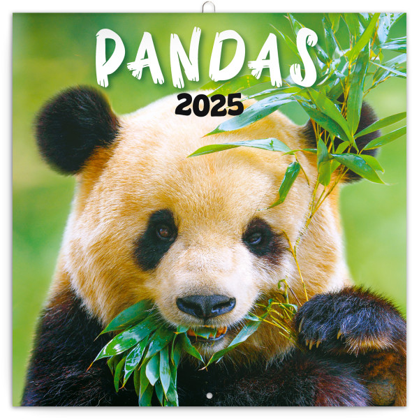 Pandas 2025 Note Calendar