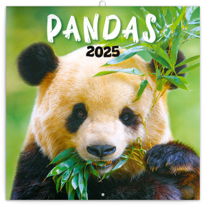 Pandas 2025 Note Calendar - Reklamnepredmety