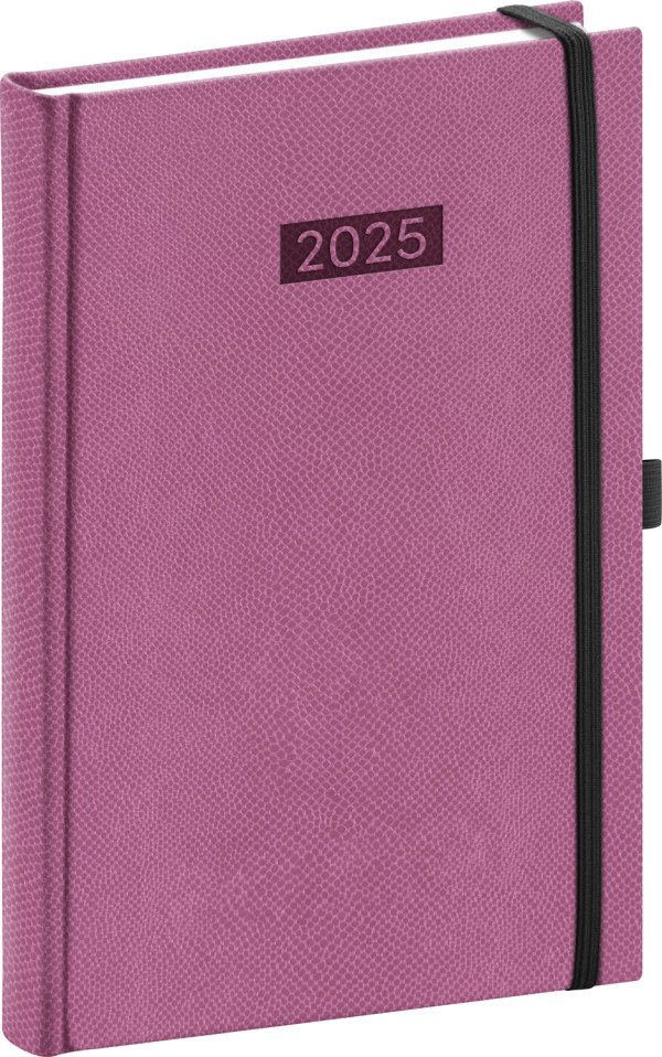 Diario 2025 daily diary