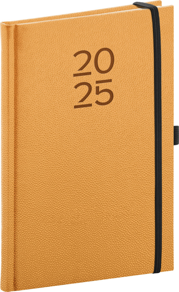 Vellum 2025 Daily Diary