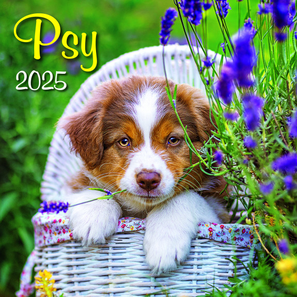 Wall calendar Dogs square 2025