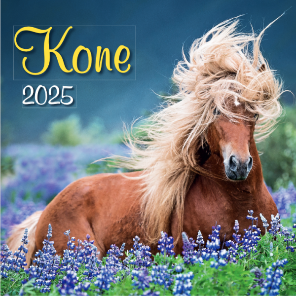 Kone 2025 wall calendar