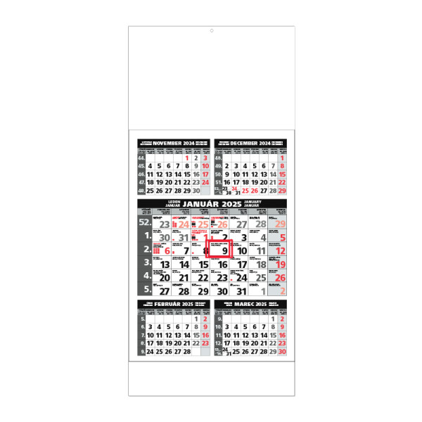 Planning calendar STANDARD 5M gray 2025